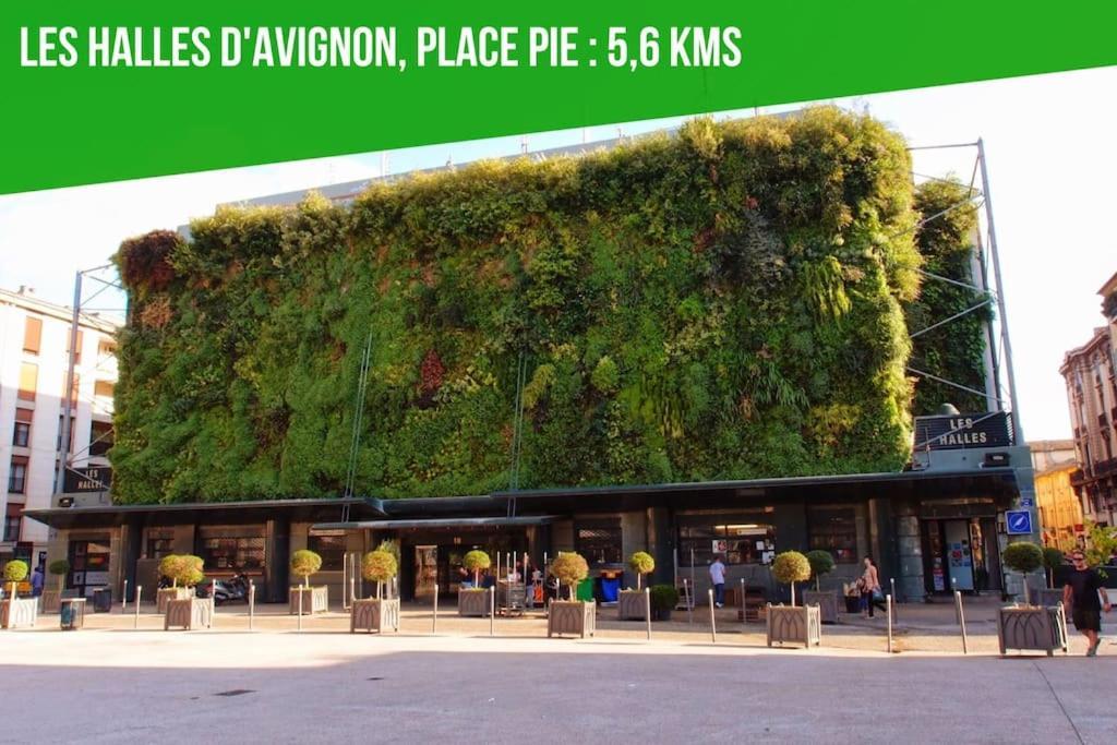 Petit Terme - Piscine - Clim - Parking Apartment Les Angles  Bagian luar foto